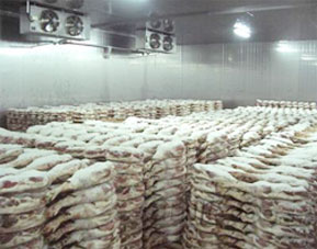 設(shè)有維修隊(duì)伍