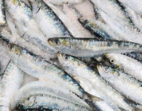 多年行業(yè)經(jīng)驗(yàn)